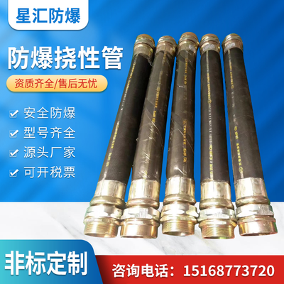 防爆挠性管